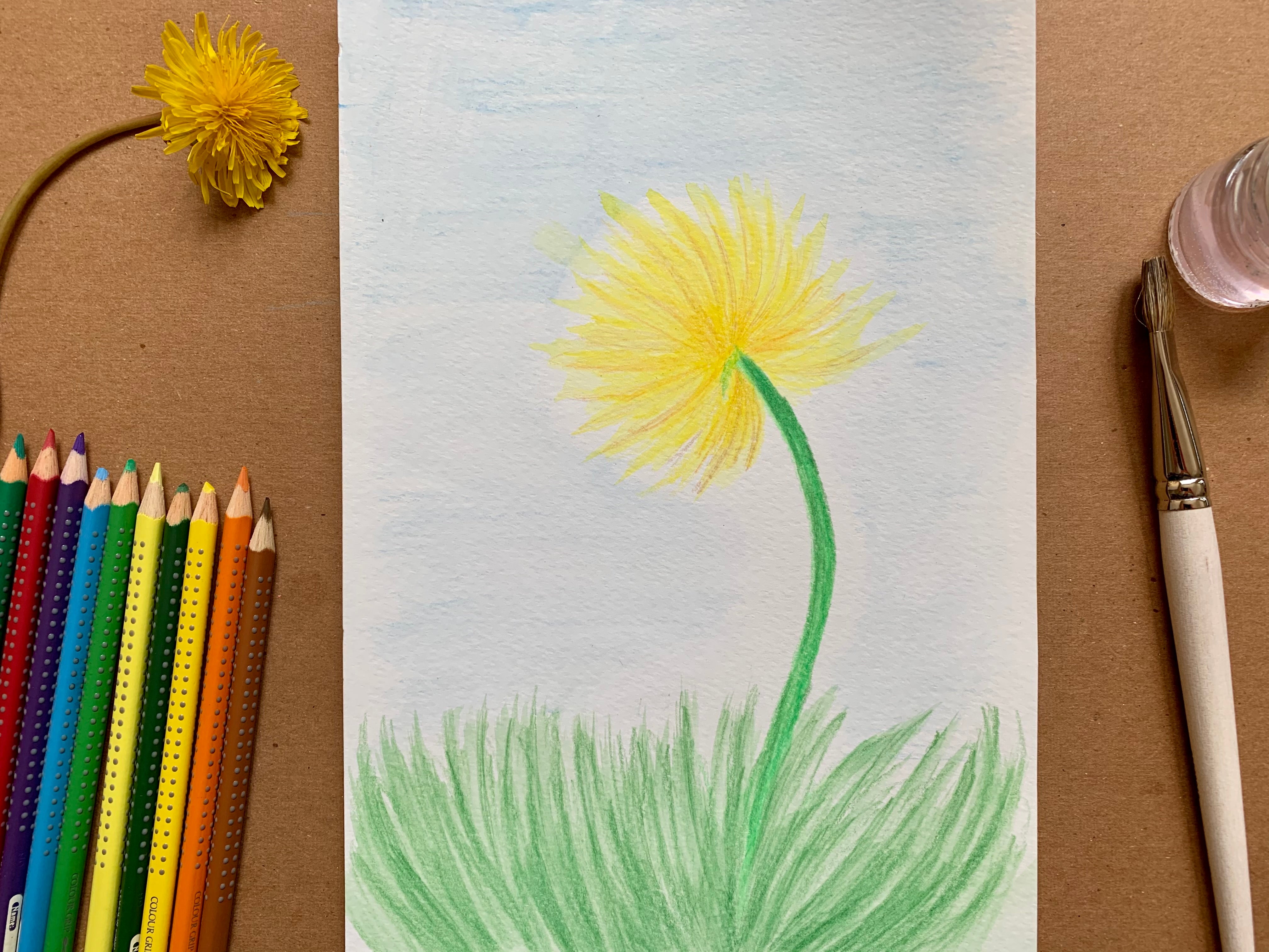 How To Use Watercolor Pencils for Beginners 