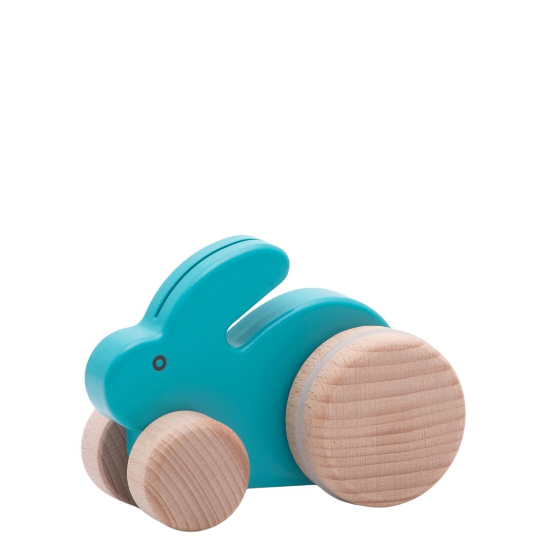 Wooden push best sale toys for babies