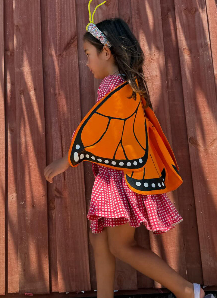 Monarch Butterfly Wings