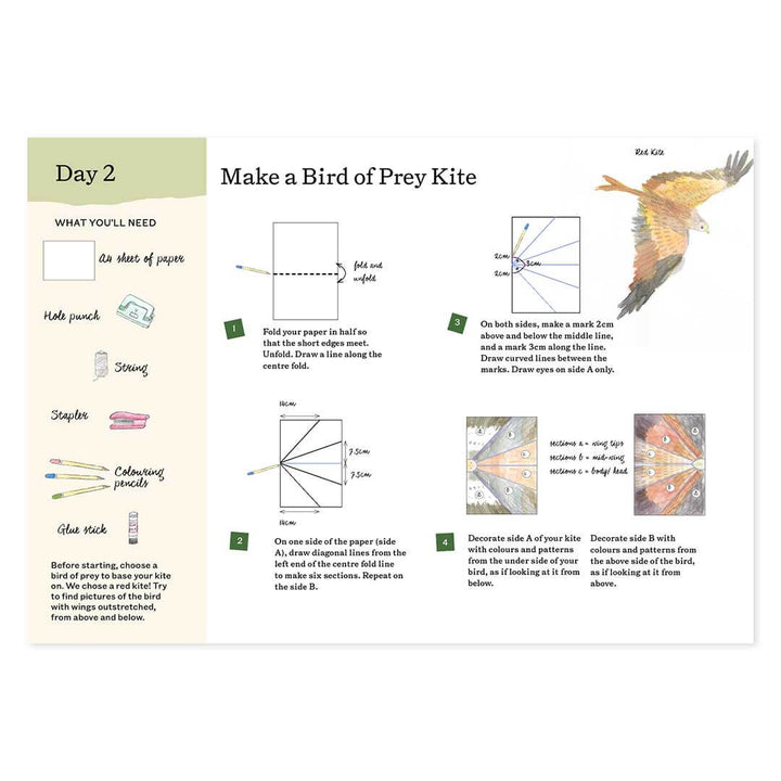 Day 2 Sample Pages of a Bird of Prey Kite craft