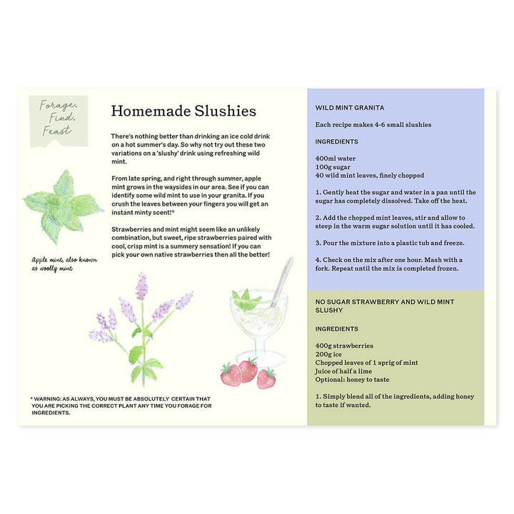 Forage, Find, Feast sample pages with a Homemade Slushies recipe with illustrations of mint, lavender, a glass, and strawberries