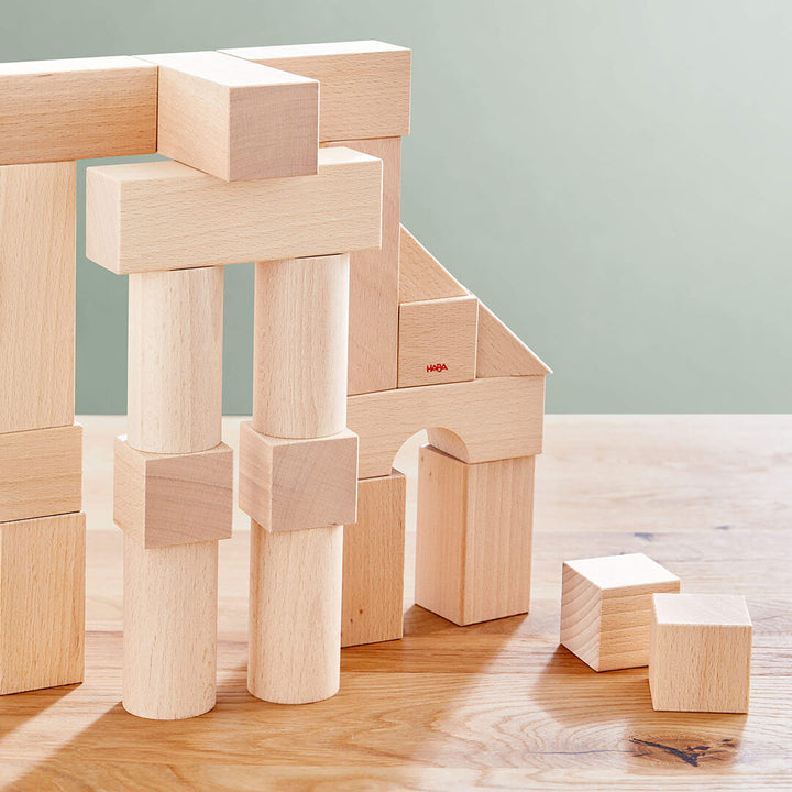 Basic Building Blocks 26 Piece Starter Set collection of wooden building blocks arranged in various shapes on a light wooden surface against a pale green background.