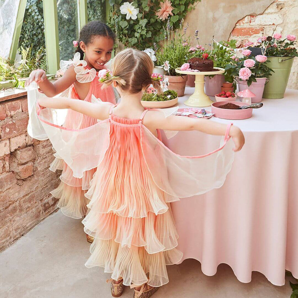 Two children spread their wings in the Meri Meri Fancy Fairy Costume.