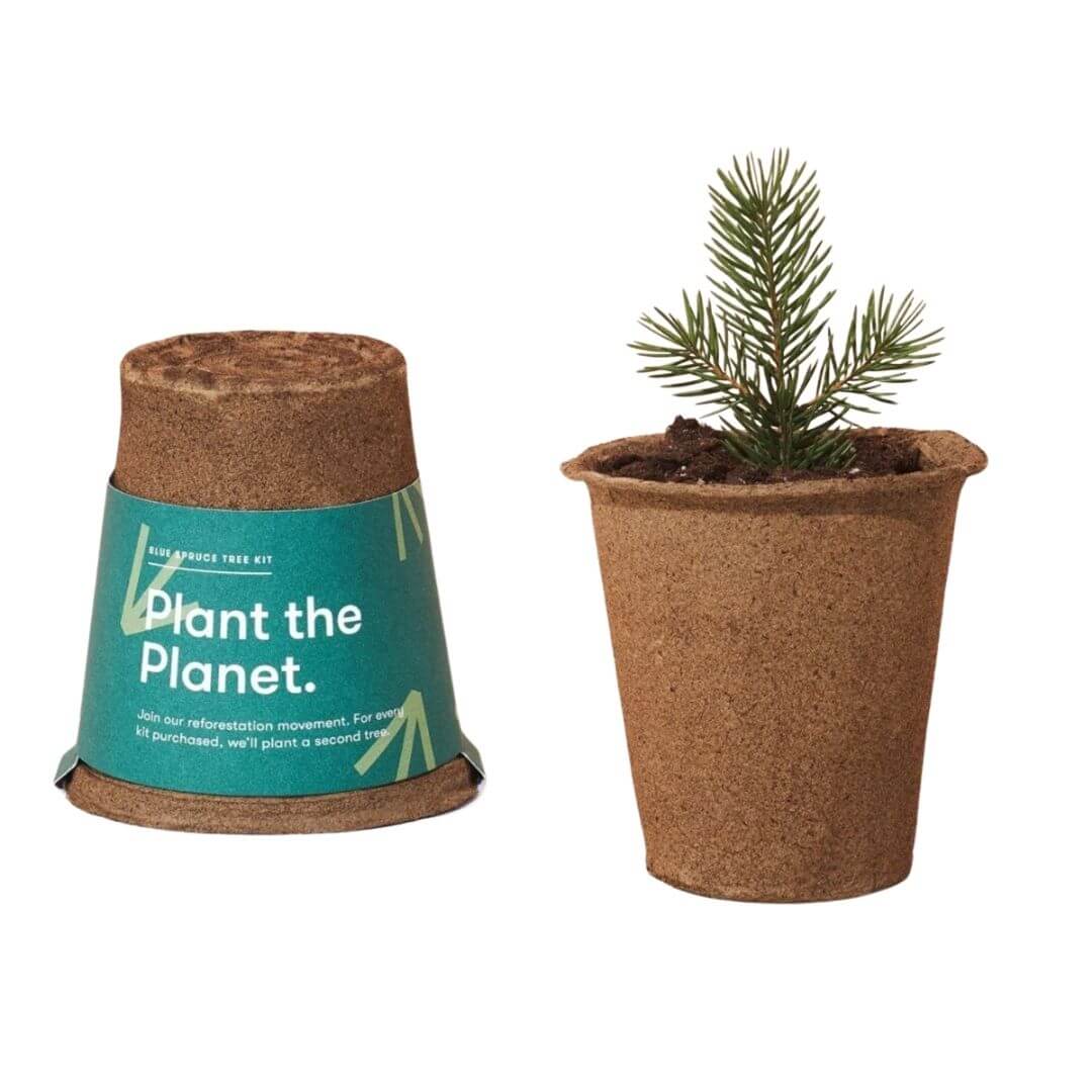 Eco-friendly tree planting kit with biodegradable pot made from upcycled cow manure. Supports reforestation efforts with every purchase.