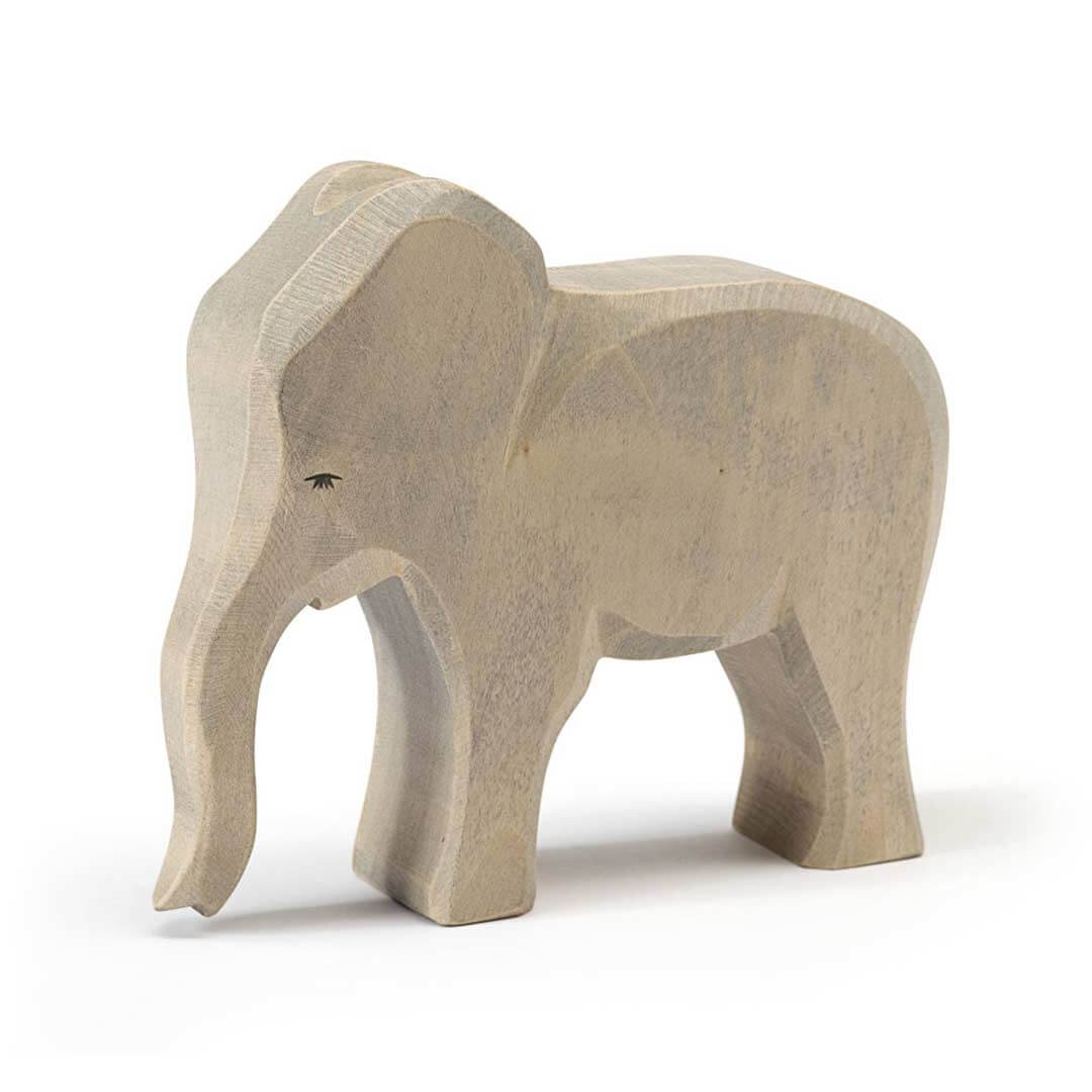 Ostheimer Female Elephant with wavy trunk