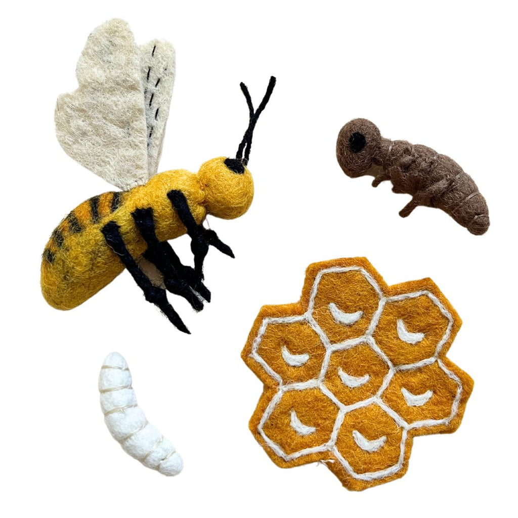 Felt Lifecycle of a Honey Bee