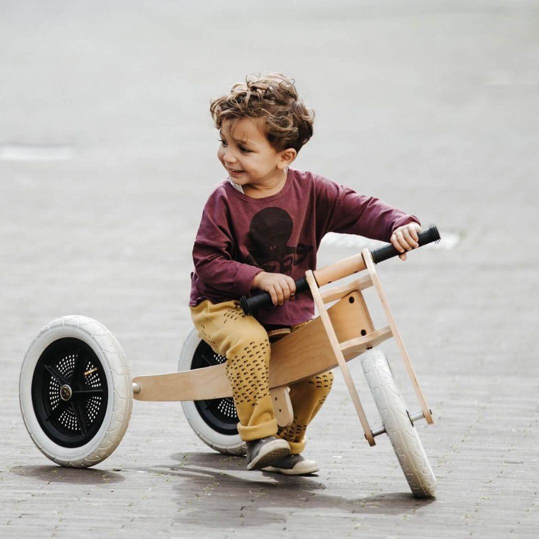 Wooden fashion animal trike